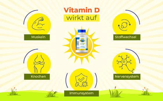 Vitamin D3 und K2 Wirkung